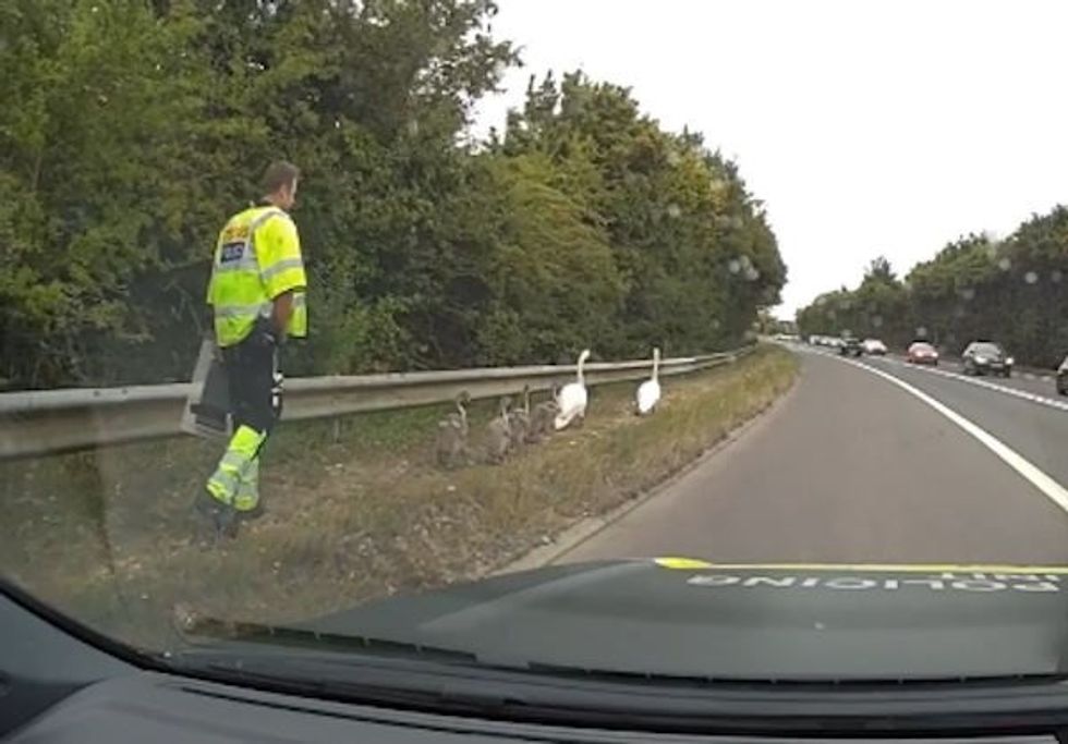 A police officer and a swan