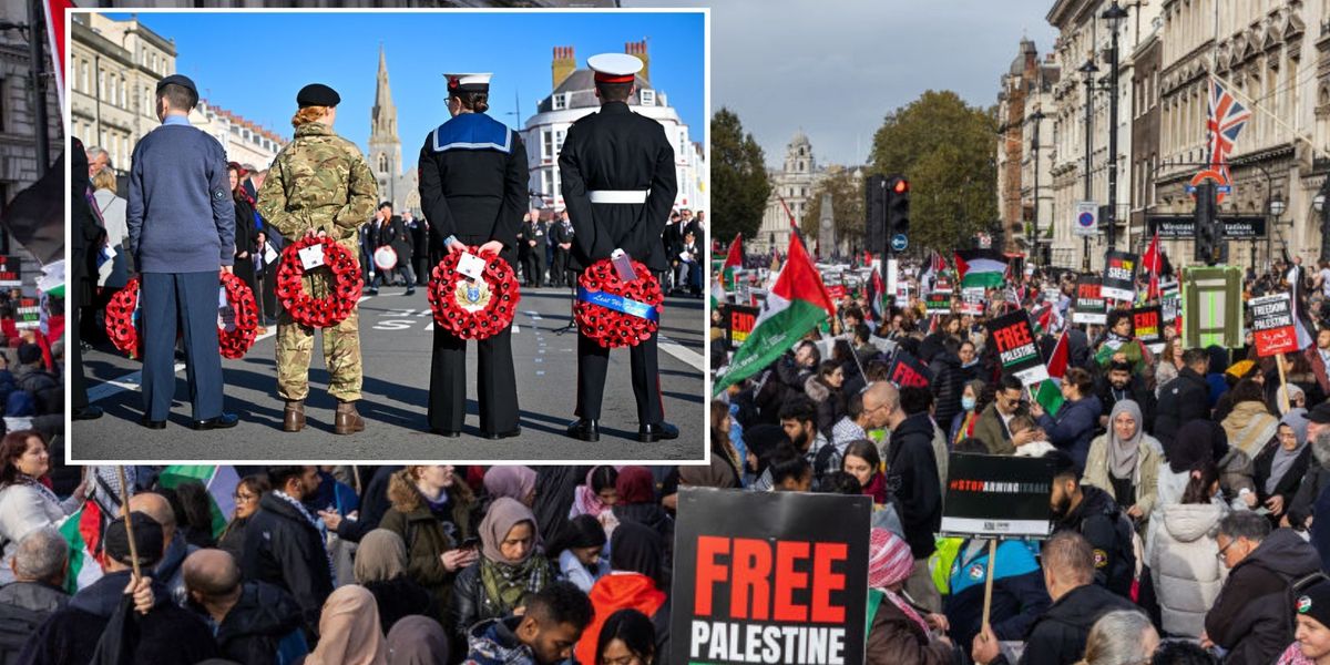 NextImg:Fury as 'ONE MILLION' pro-Palestine protesters set to march through London on Armistice Day