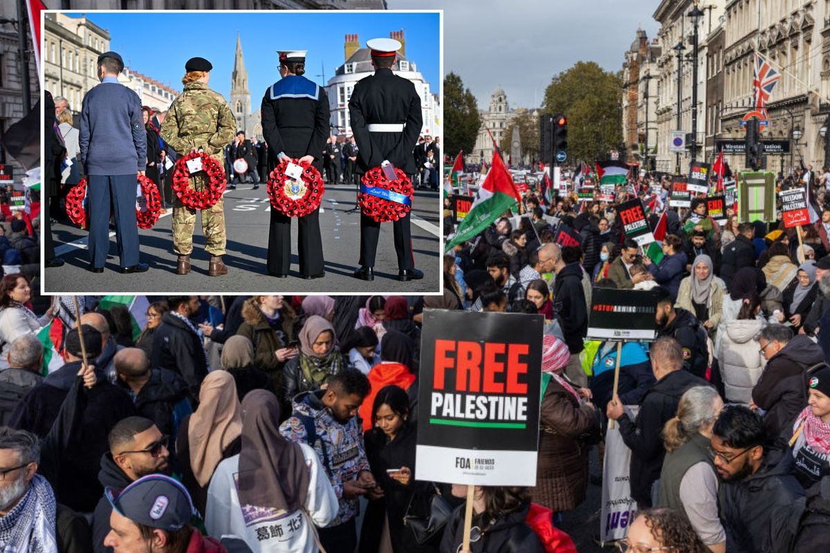 Fury as 'ONE MILLION' pro-Palestine protesters set to march through London on Armistice Day