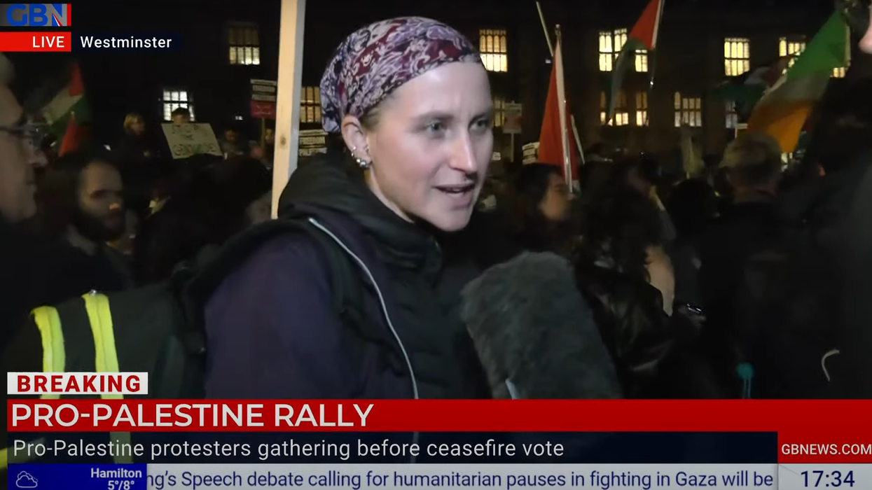 A pro-Palestine protester outside Parliament