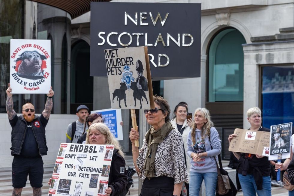 A protest taking place