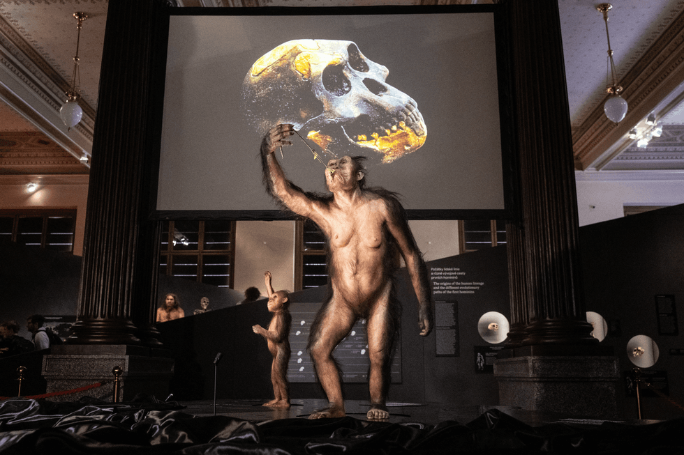 A reconstruction of 'Lucy' in Prague