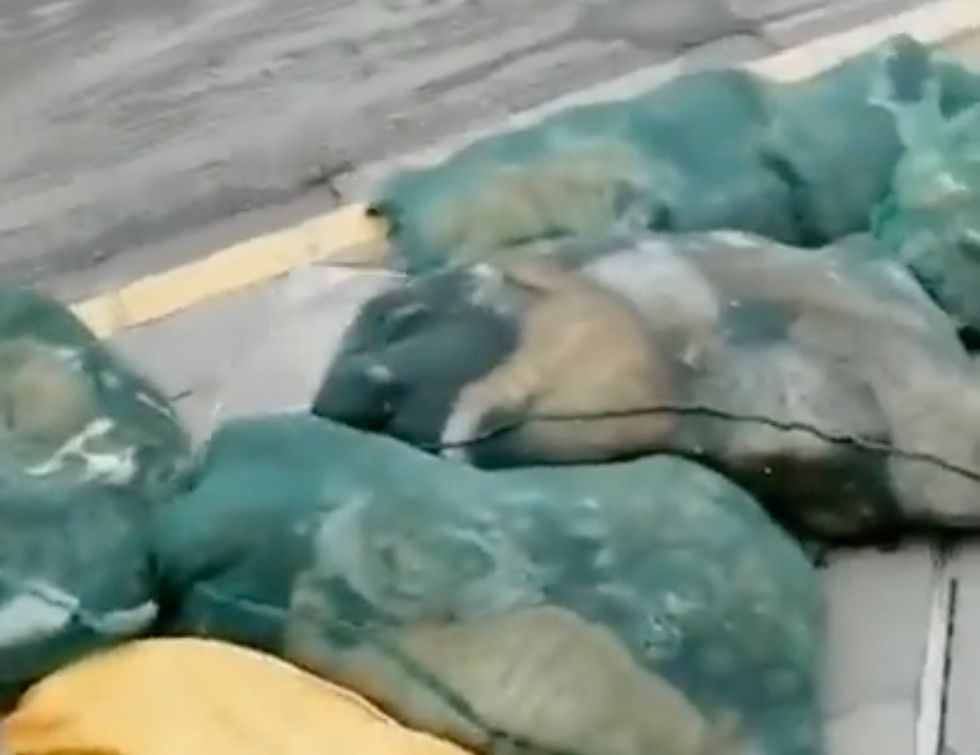 A screenshot from the video showing Shanghai resident's pets in bin bags