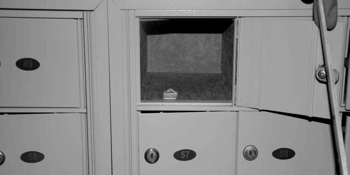 NextImg:White House cocaine scandal - Pictures of stash of drugs found on estate finally published