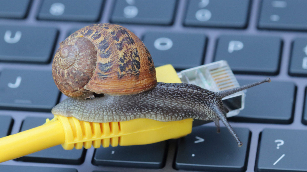 a snail sits on an ethernet cable on a laptop keyboard