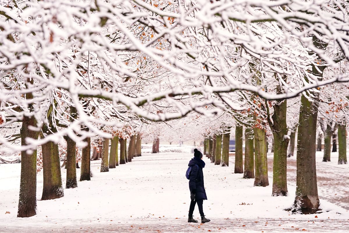 A snowy scene in a park