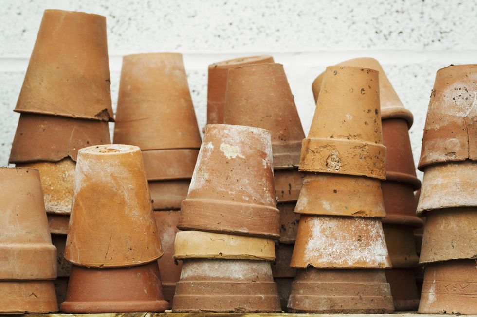 A stock image of flower pots