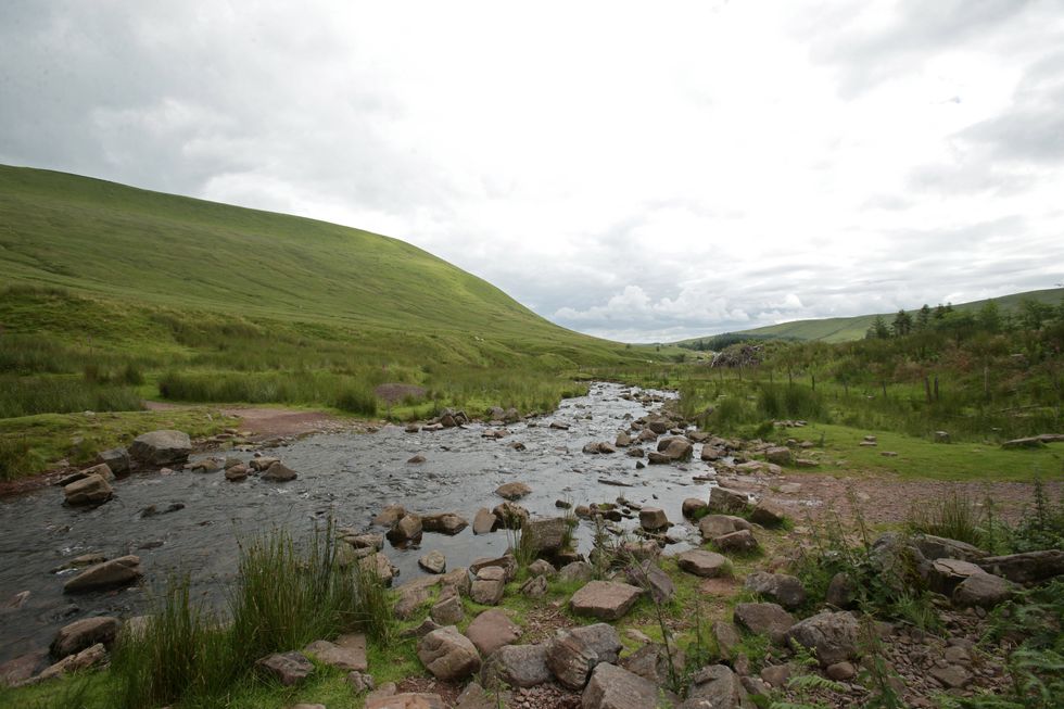 A stream in the The Brecon Beacons