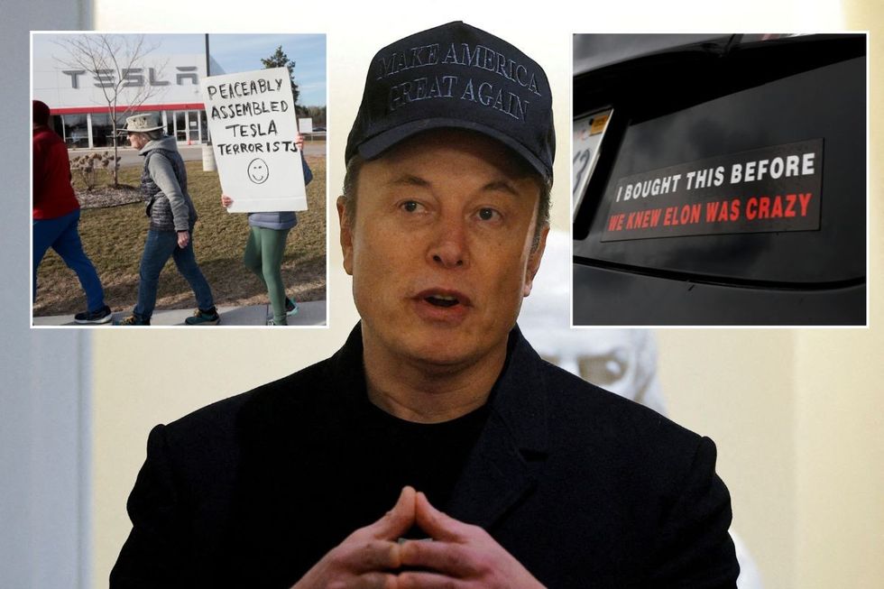 A Tesla protester, Elon Musk and a sticker saying: 'I bought this before we knew Elon was crazy'