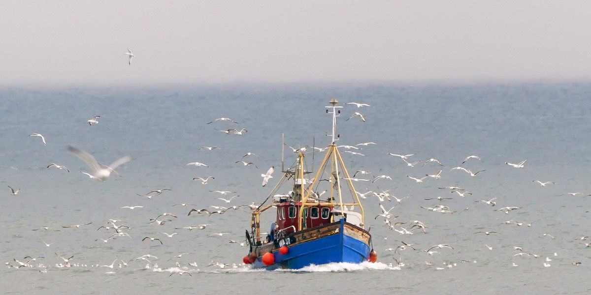 NextImg:Seaside town's last surviving trawlerman fears proposed ban will kill off his livelihood forever