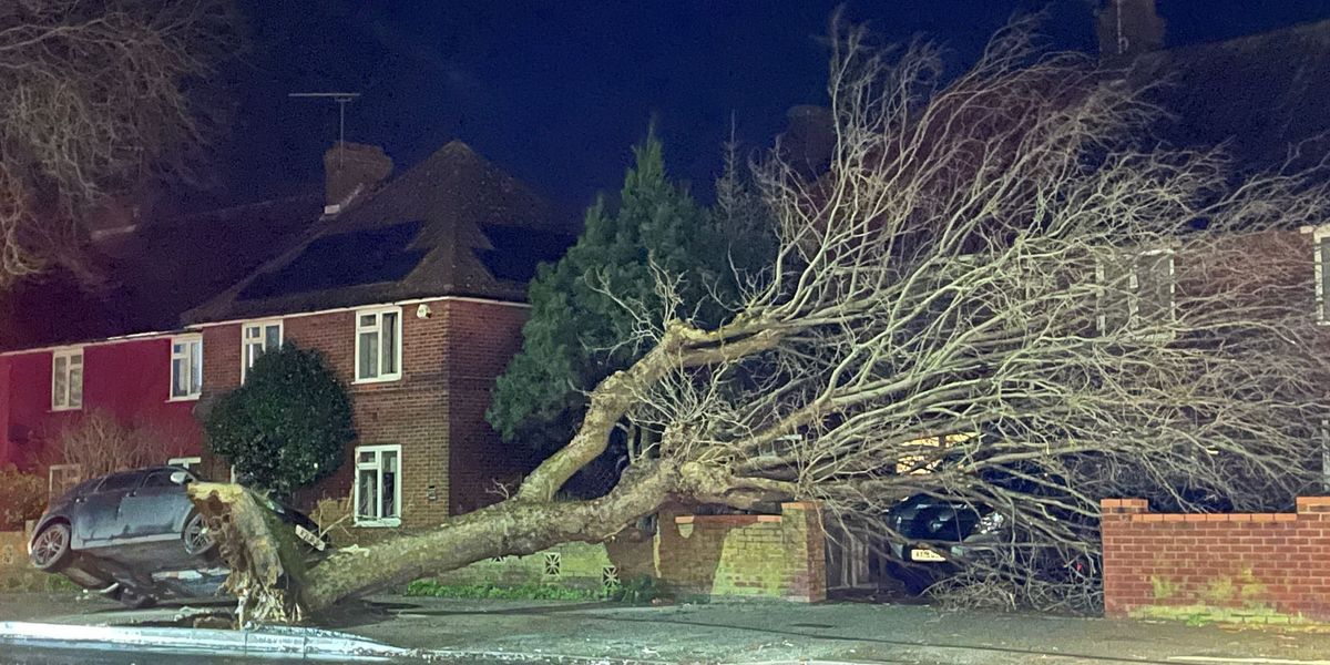 NextImg:Storm Henk: Man killed after tree smashes into car and crushes driver in 94mph winds