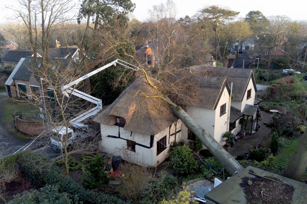 A tree which has fallen onto the 17th century thatched cottage of Gowan and Barbara Wharrier in Ashby de la Zouch, Leicestershire after heavy winds.