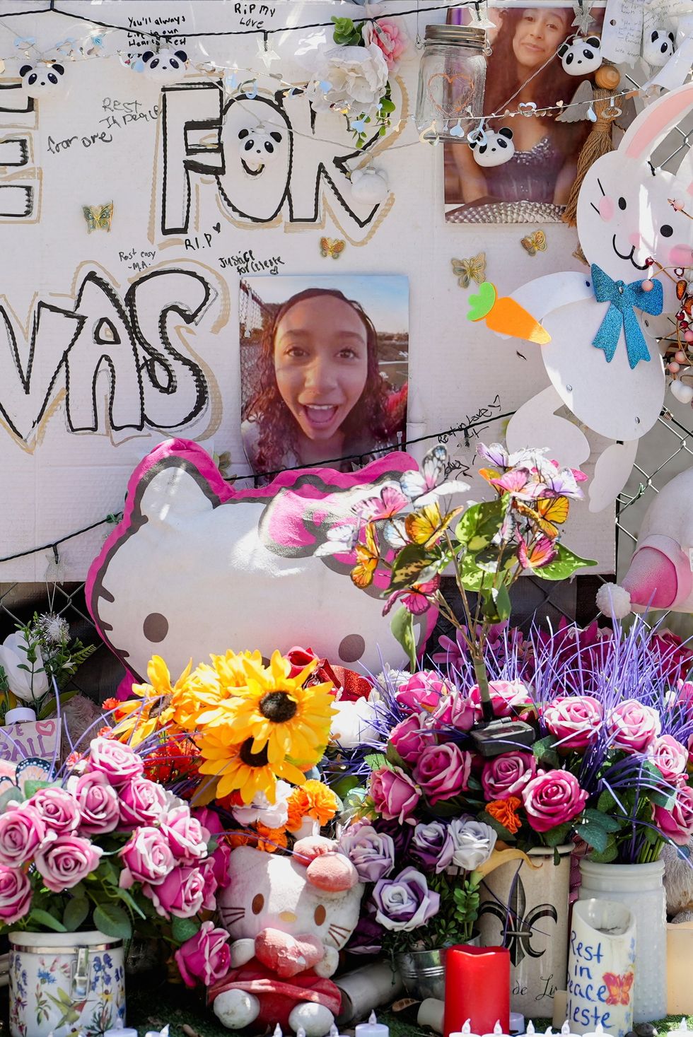 A tribute to \u200bCeleste Rivas Hernandez after D4vd's arrest last week