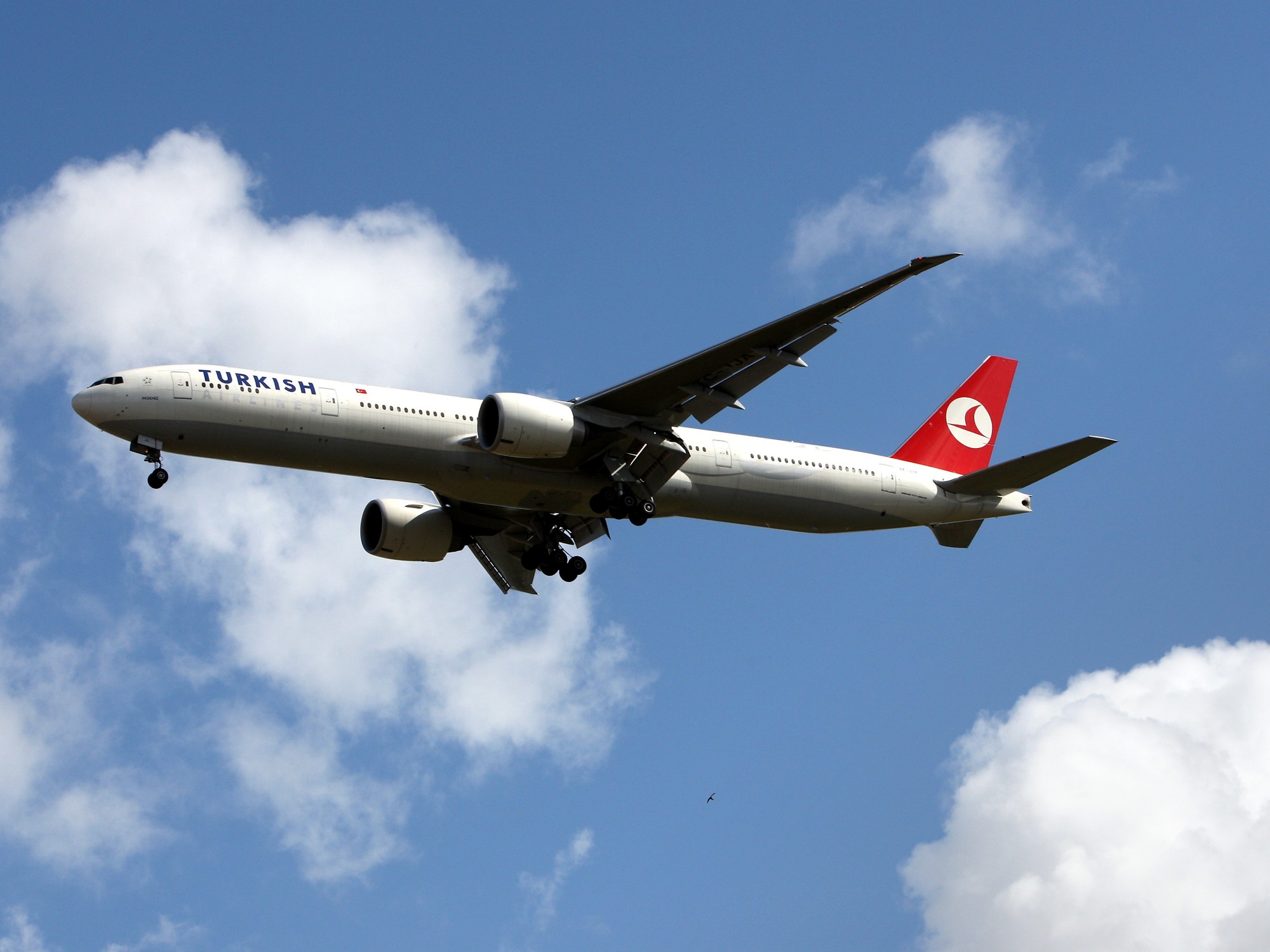 A Turkish Airlines Boeing 777 plane (file pic)