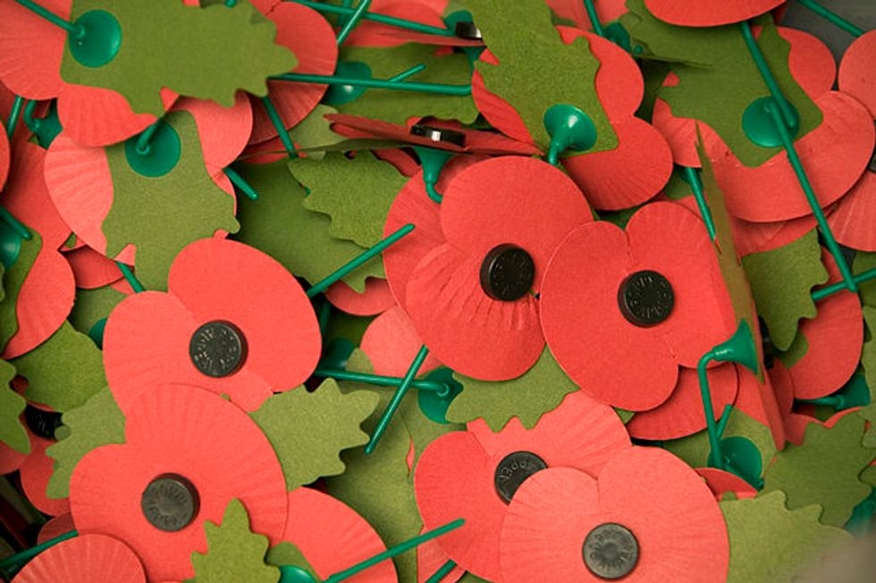 A \u00a31 million fundraiser for London Poppy Day has been cancelled because of the rail strikes