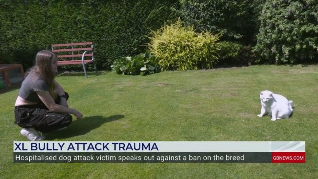 Owner 'not bothered' after XL bully viciously mauled schoolgirl, 12, in 'horrific' attack