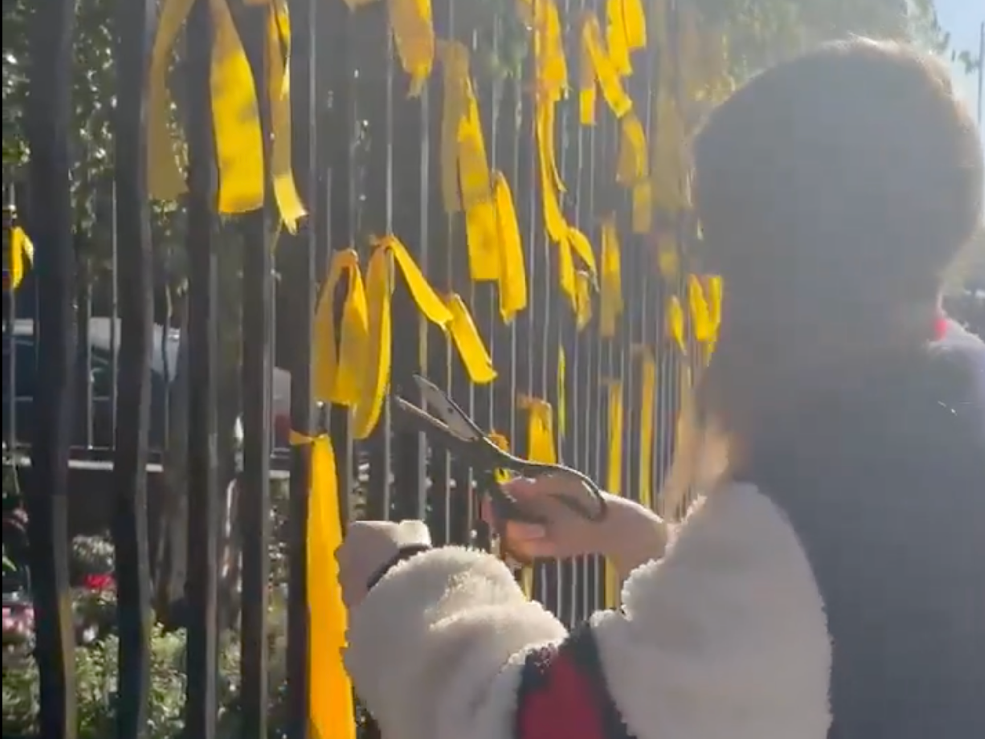 A video shows the moment a woman cut down memorial ribbons with scissors