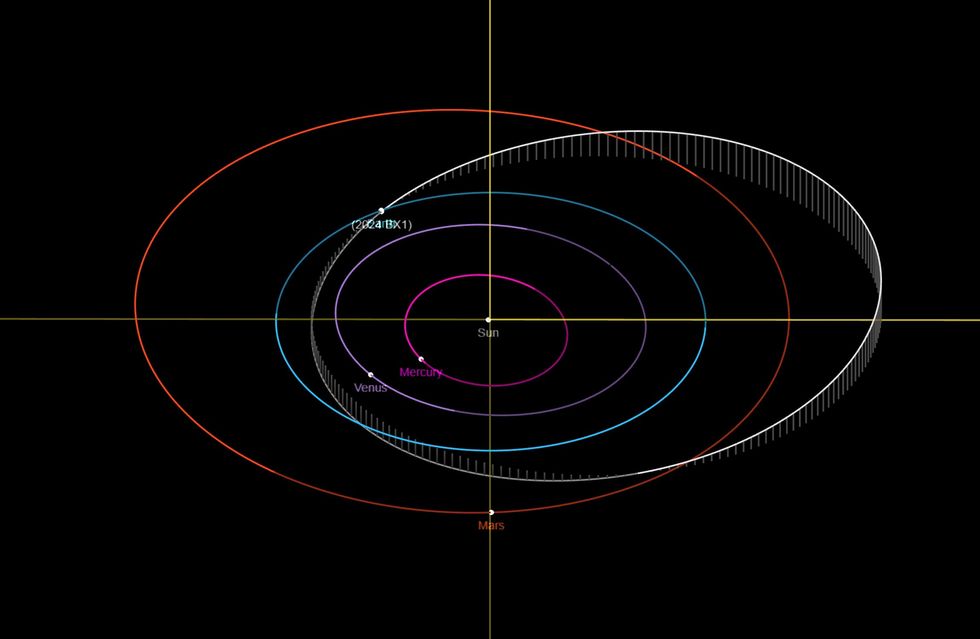 A visualisation of the asteroid's orbits compared to other bodies in our Solar System