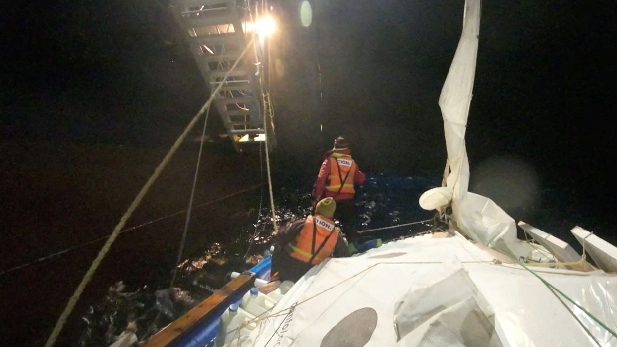 Sharks launch vicious attack on catamaran with crew lucky to be alive