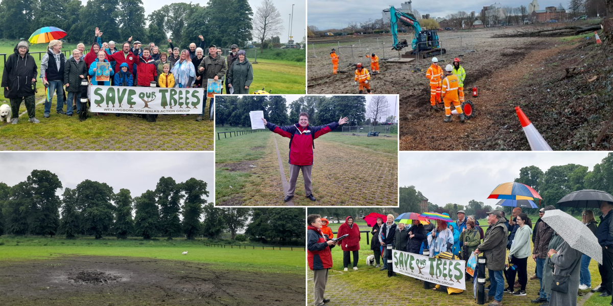 NextImg:Tree campaigners win High Court clash with council after 16 ancient lime trees were removed to prepare for road expansion