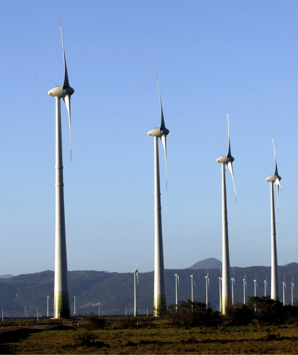 A wind farm