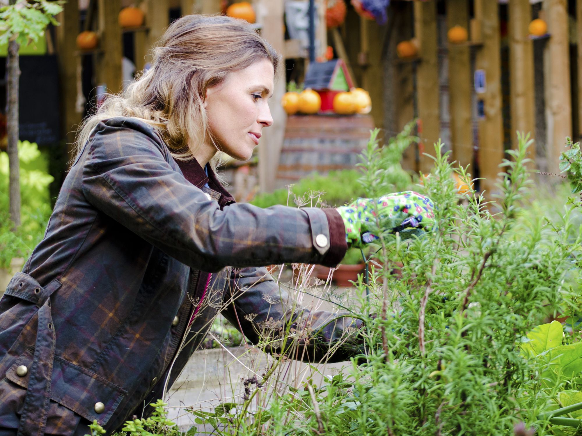 A woman pruning her plants