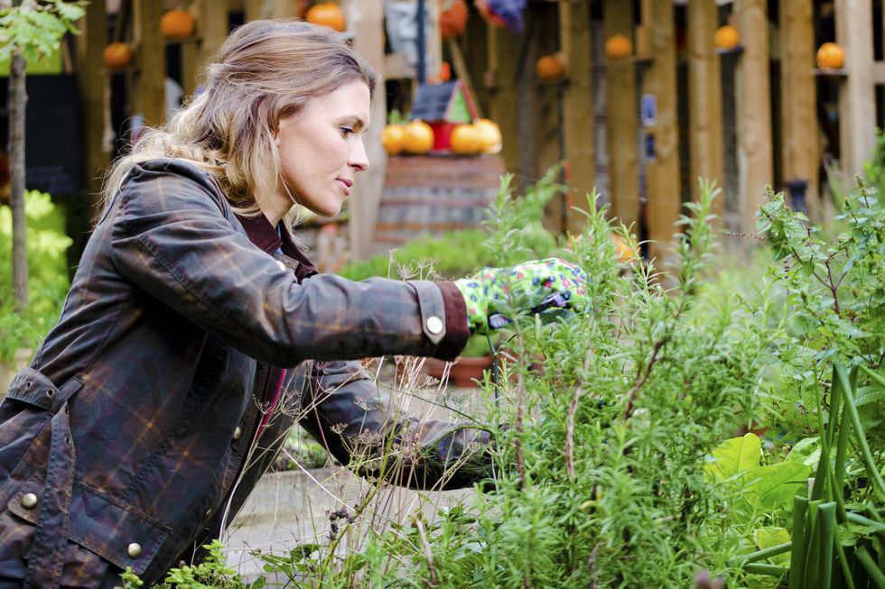 A woman pruning her plants