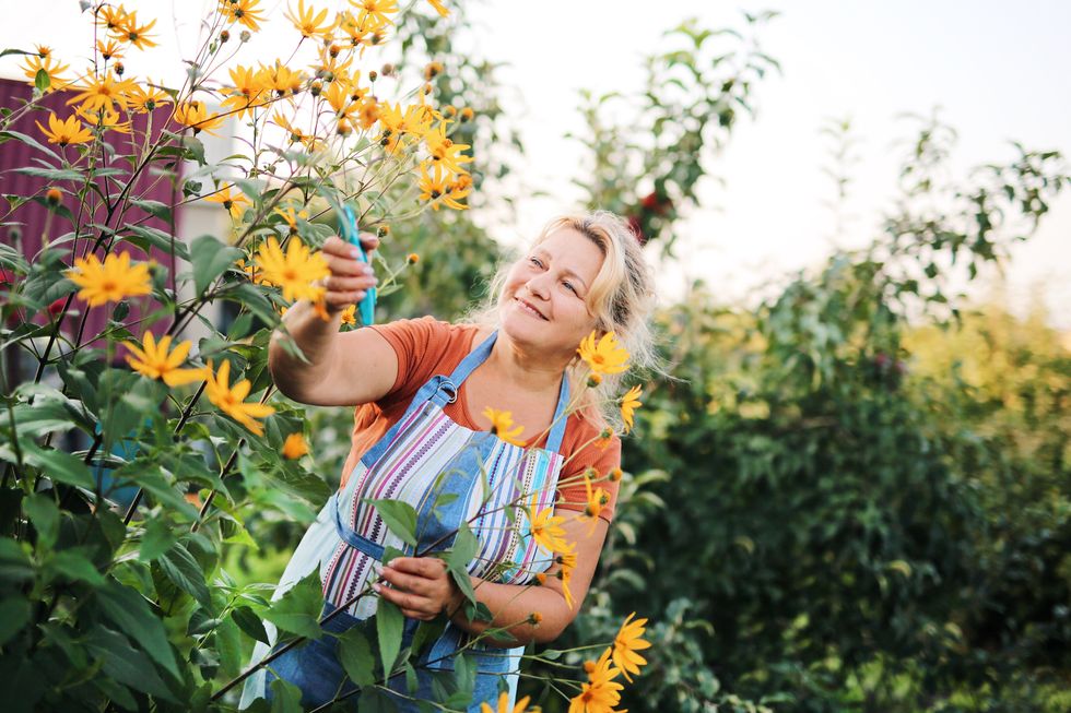 A woman pruning her plants