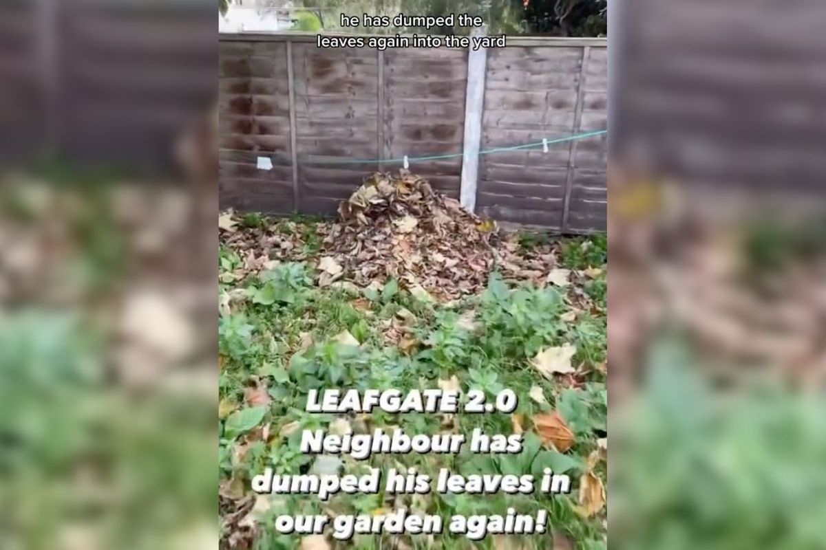 Neighbour who was left furious by tree in garden next door takes very passive aggressive action