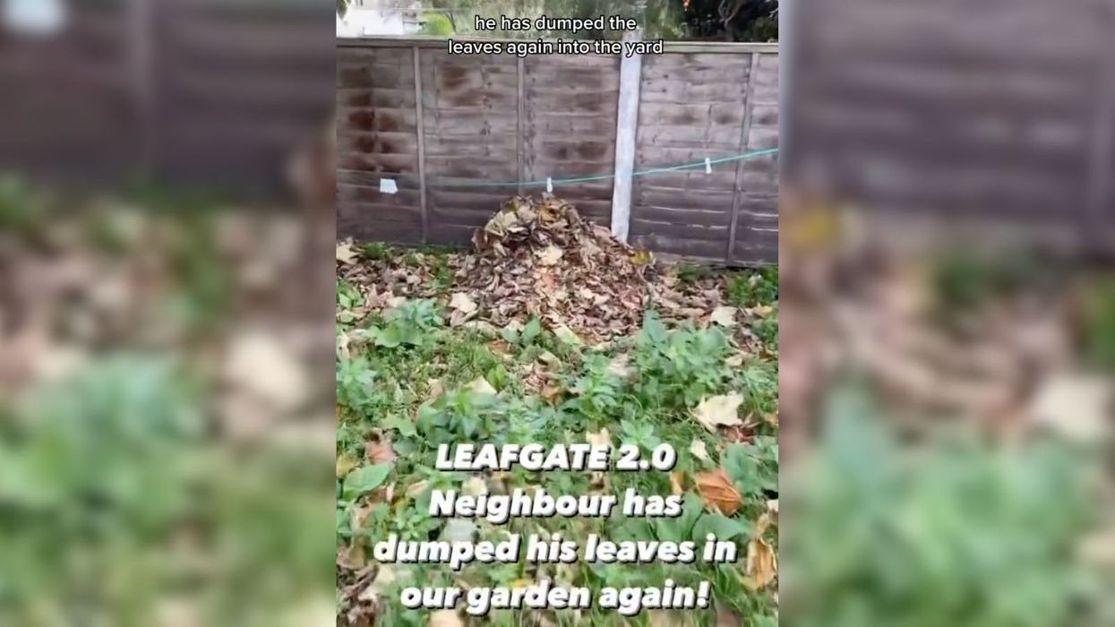 Neighbour who was left furious by tree in garden next door takes very passive aggressive action