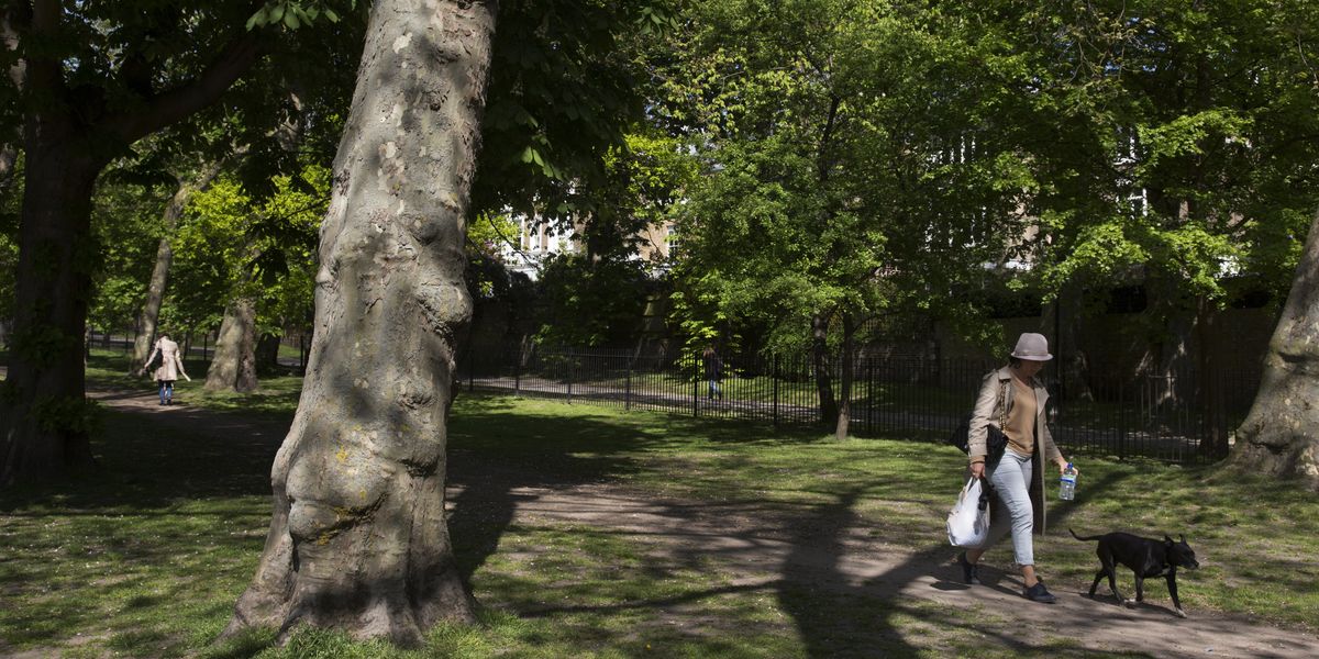 London news: Poisoned meat ‘targeting dogs’ found in TWO London parks London news: Poisoned meat ‘targeting dogs’ found in TWO London parks
