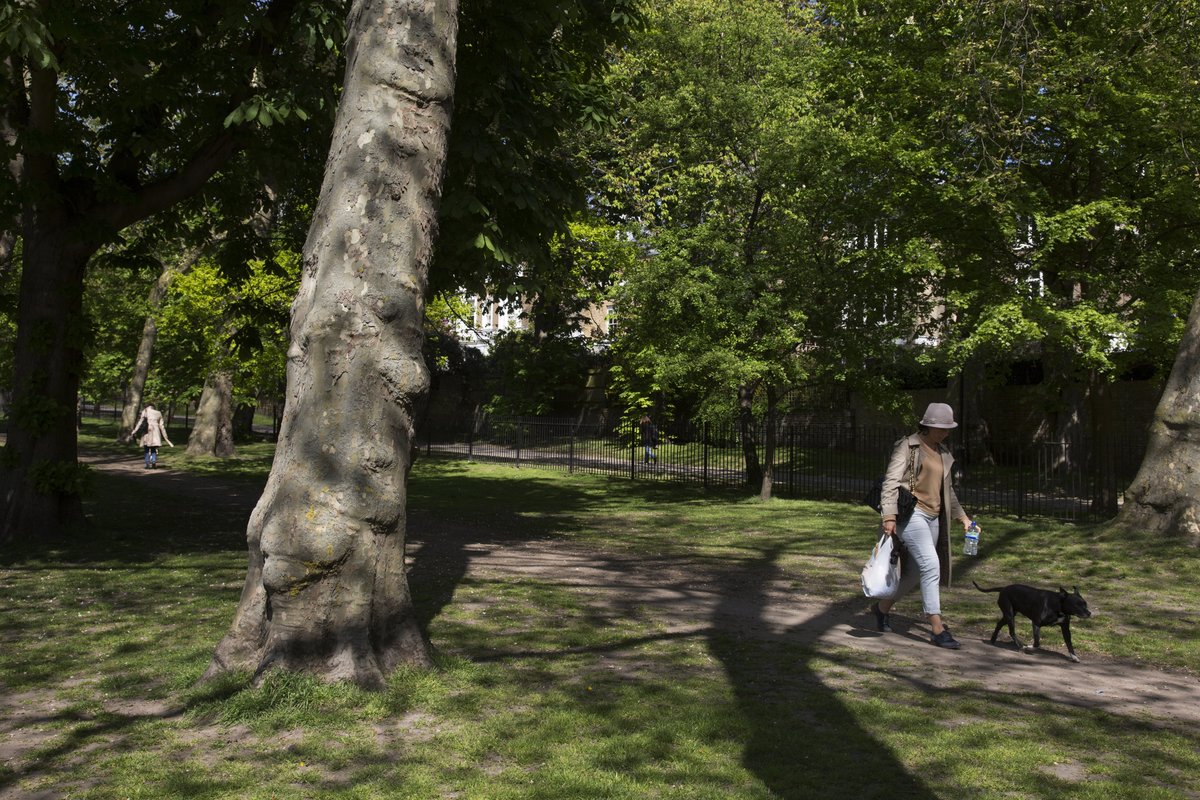 a woman walking her dog in Holland Park (file photo)