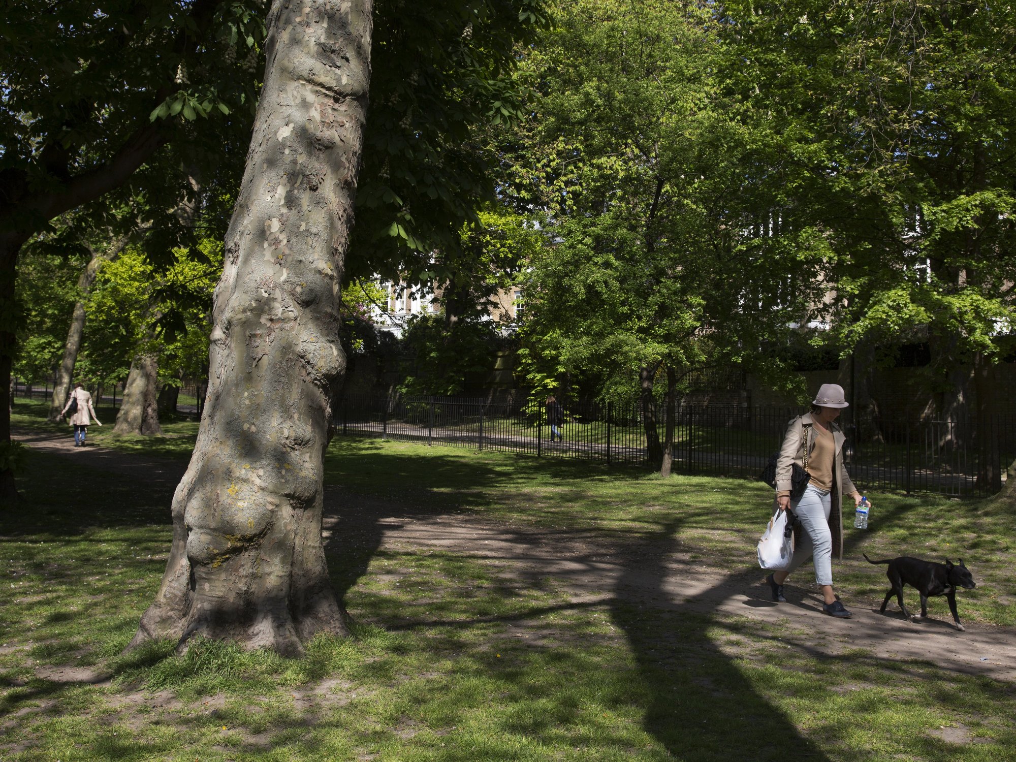 a woman walking her dog in Holland Park (file photo)