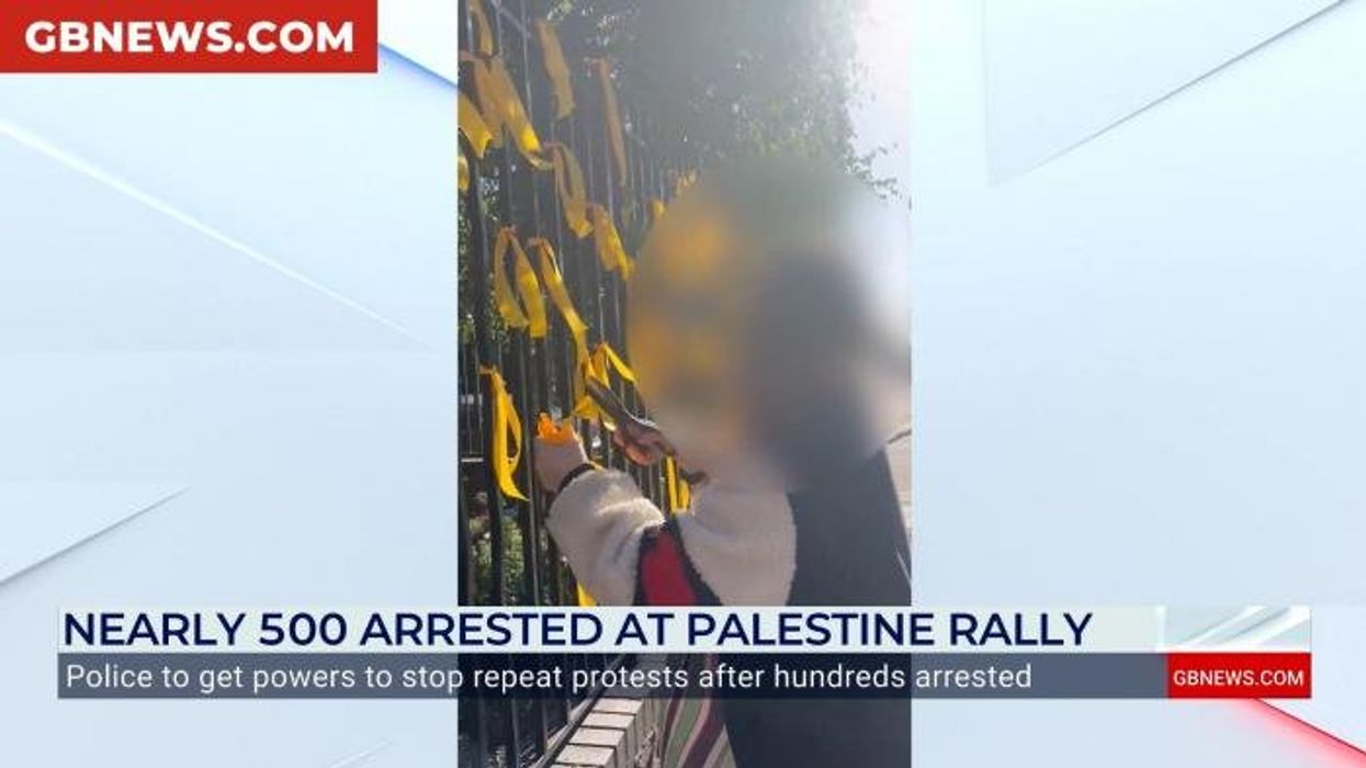 Woman who removed Israeli hostage ribbons from London memorial on October 7 anniversary questioned by police