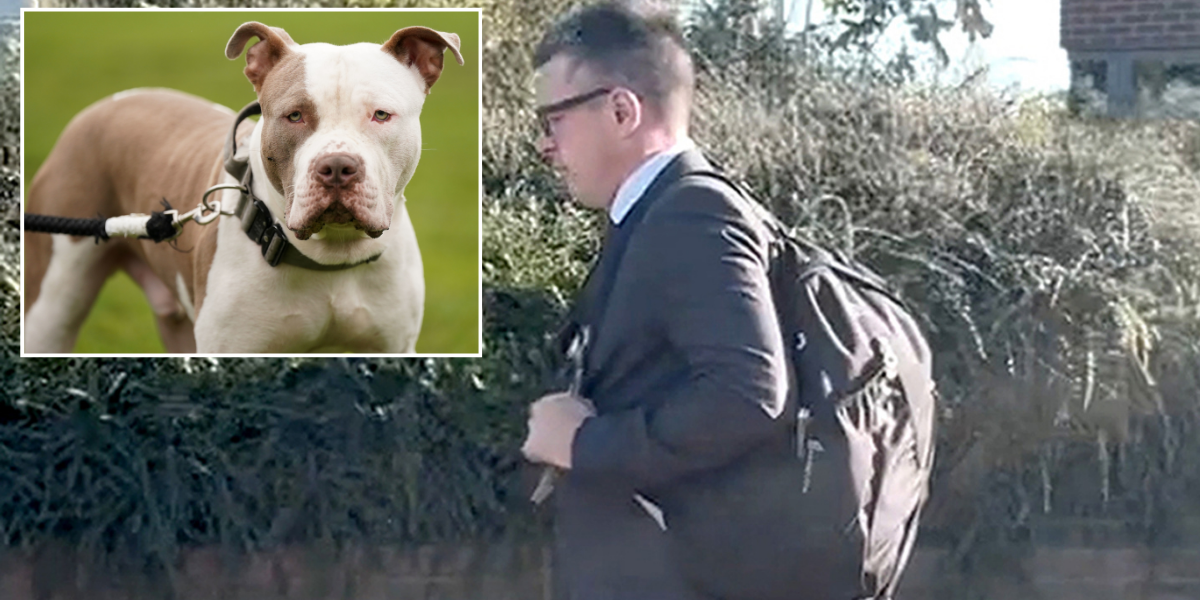NextImg:XL bully owner faces prison after his dog viciously mauled neighbour to death in horrific throat attack