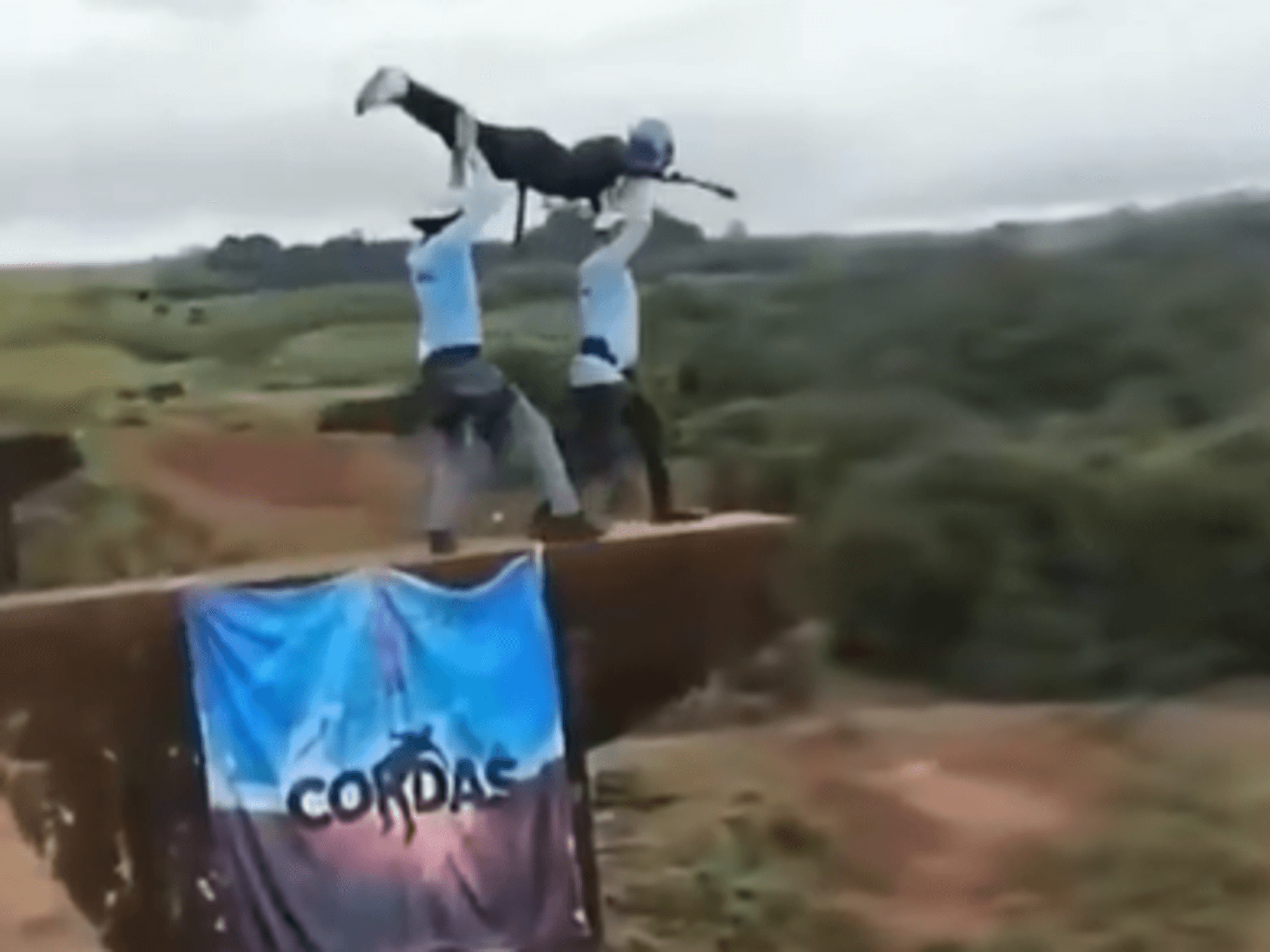 A women is held by two people above a bridge without a safety rope, moments before she plunges to her death