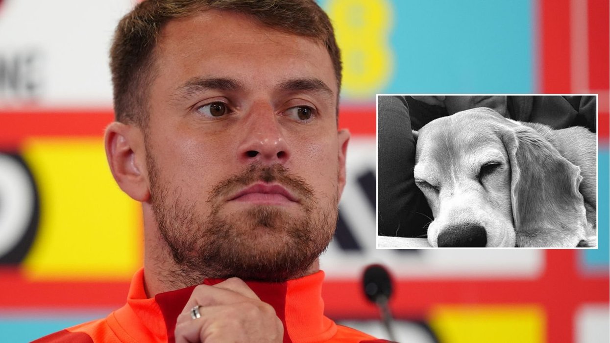 Aaron Ramsey has shared a heartbreaking update about his missing dog, Halo, who disappeared earlier this month in Mexico.