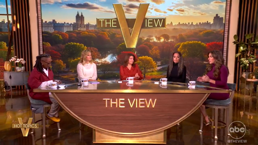 ABC The View: Whoopi Goldberg and the panel