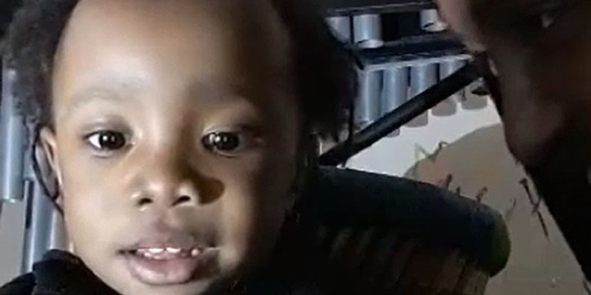 NextImg:Three-year-old boy starved by vegans after officials failed to intervene over fears 'of being branded racist'
