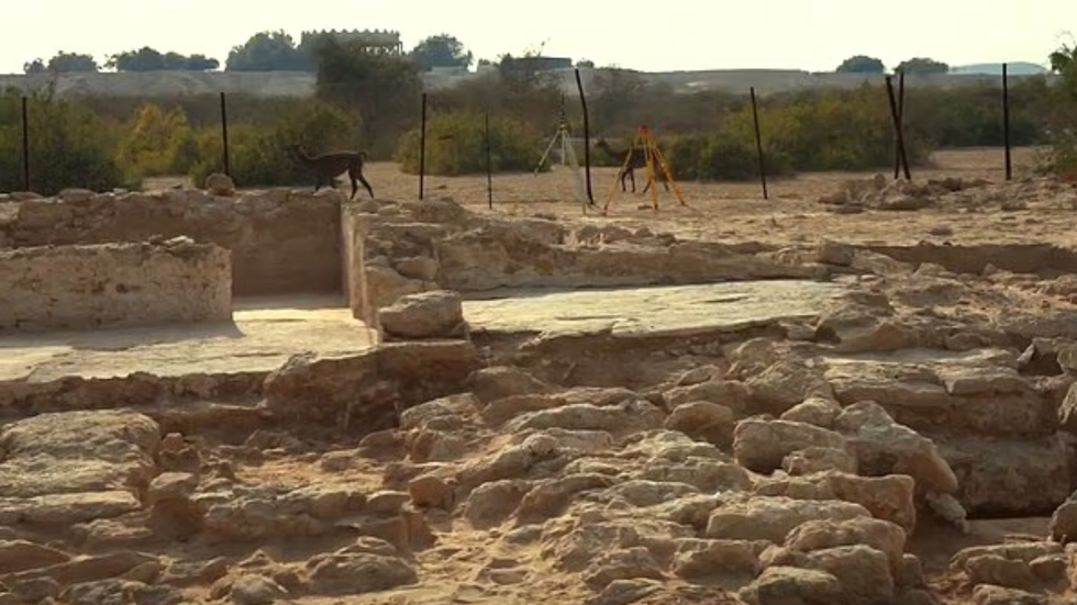Abu Dhabi excavations