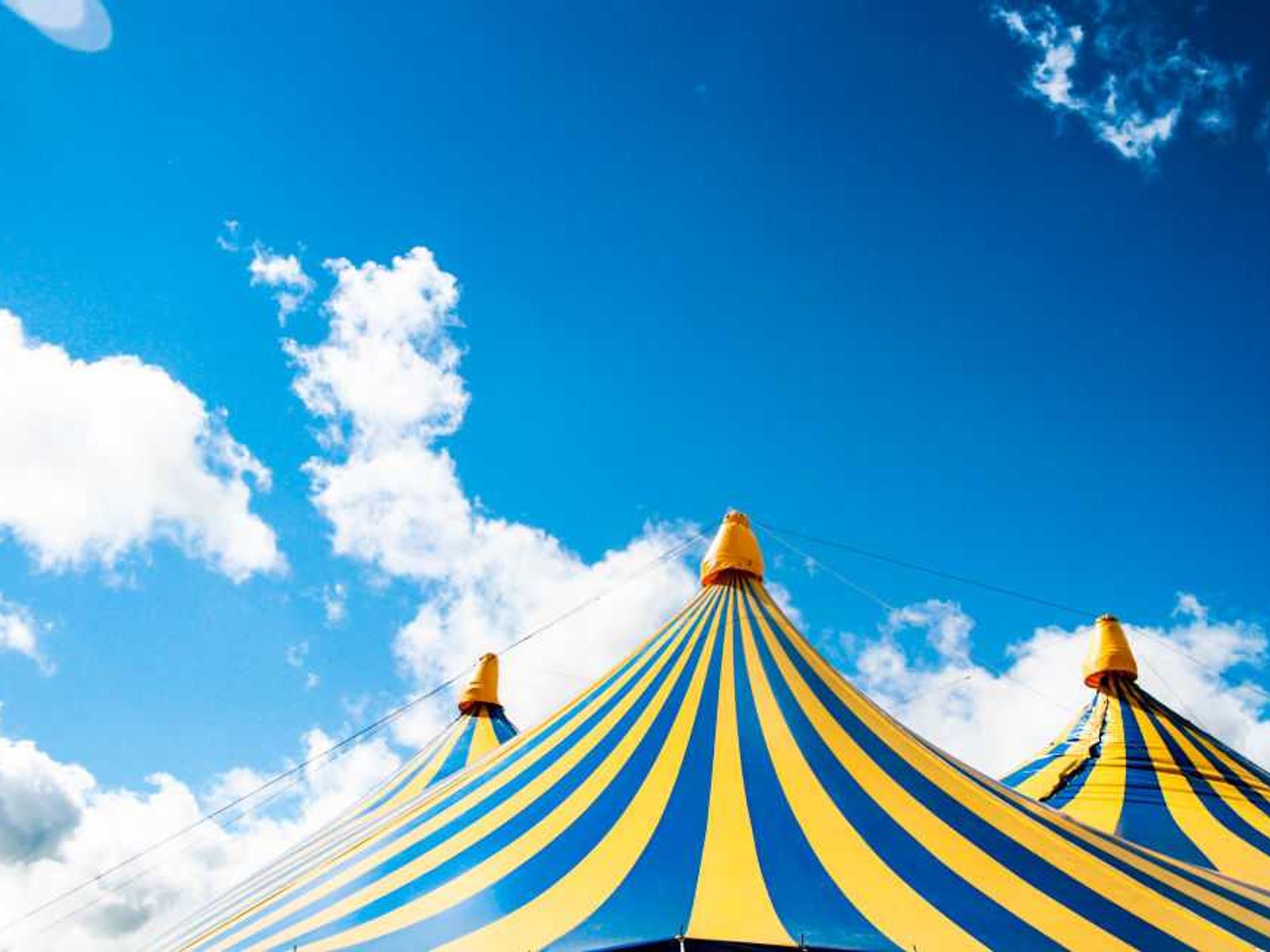 Acrobat falls to death during trapeze stunt at circus in Germany