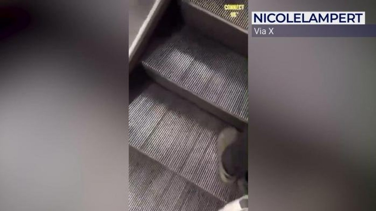 Euston Station incident sparks travel chaos as passengers 'trapped for an hour' on tube