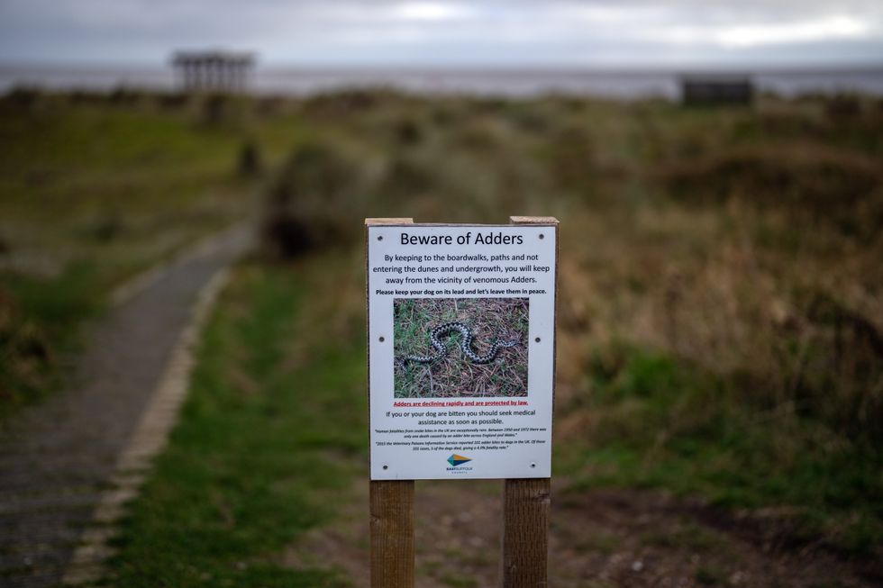 Adder warning sign