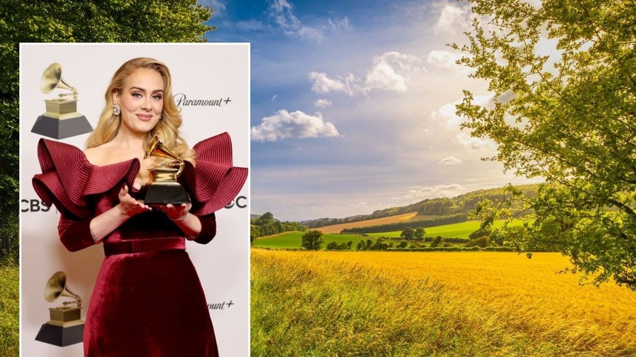 Adele / West Sussex countryside