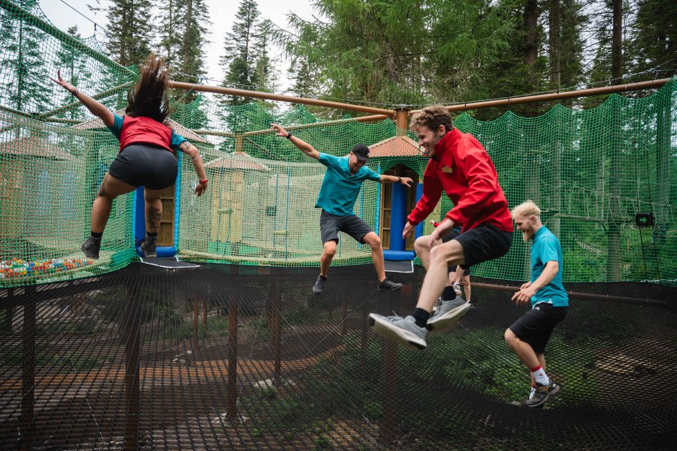 Adventure Nets treetop