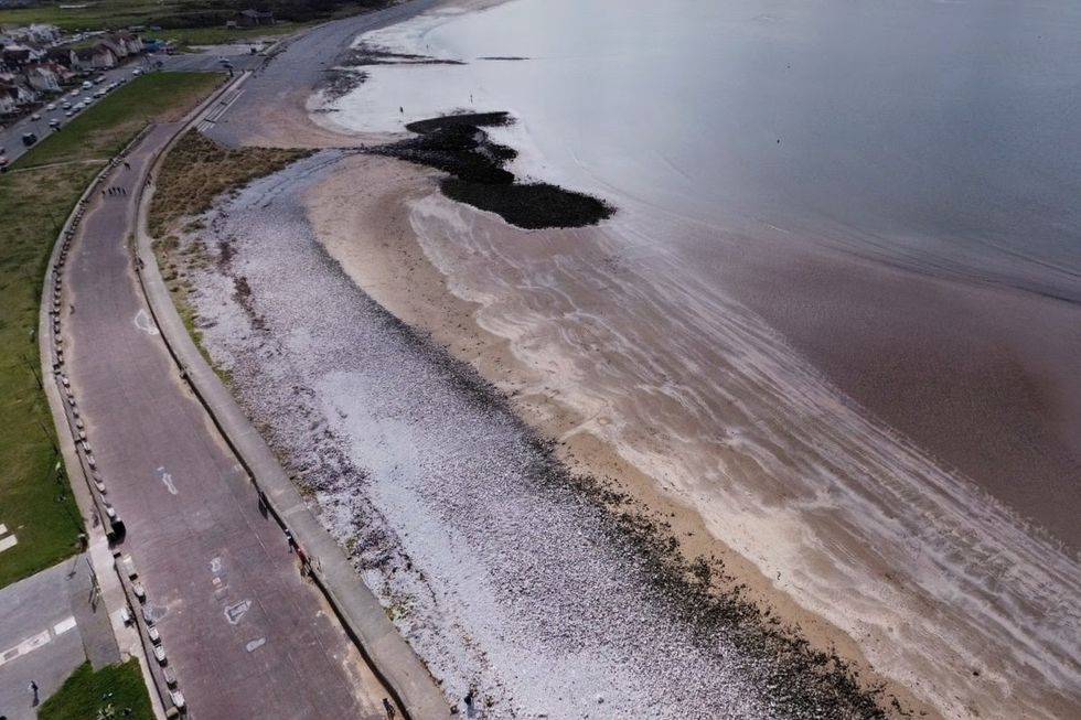 Aerial shot of West Shore beach