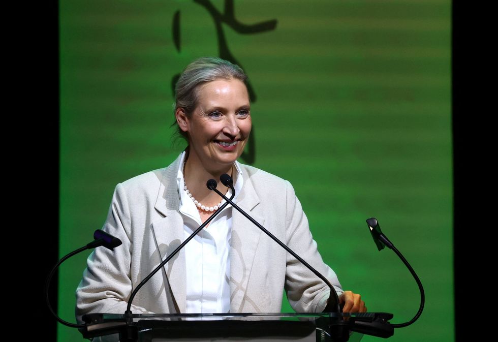 AfD co-leader Alice Weidel