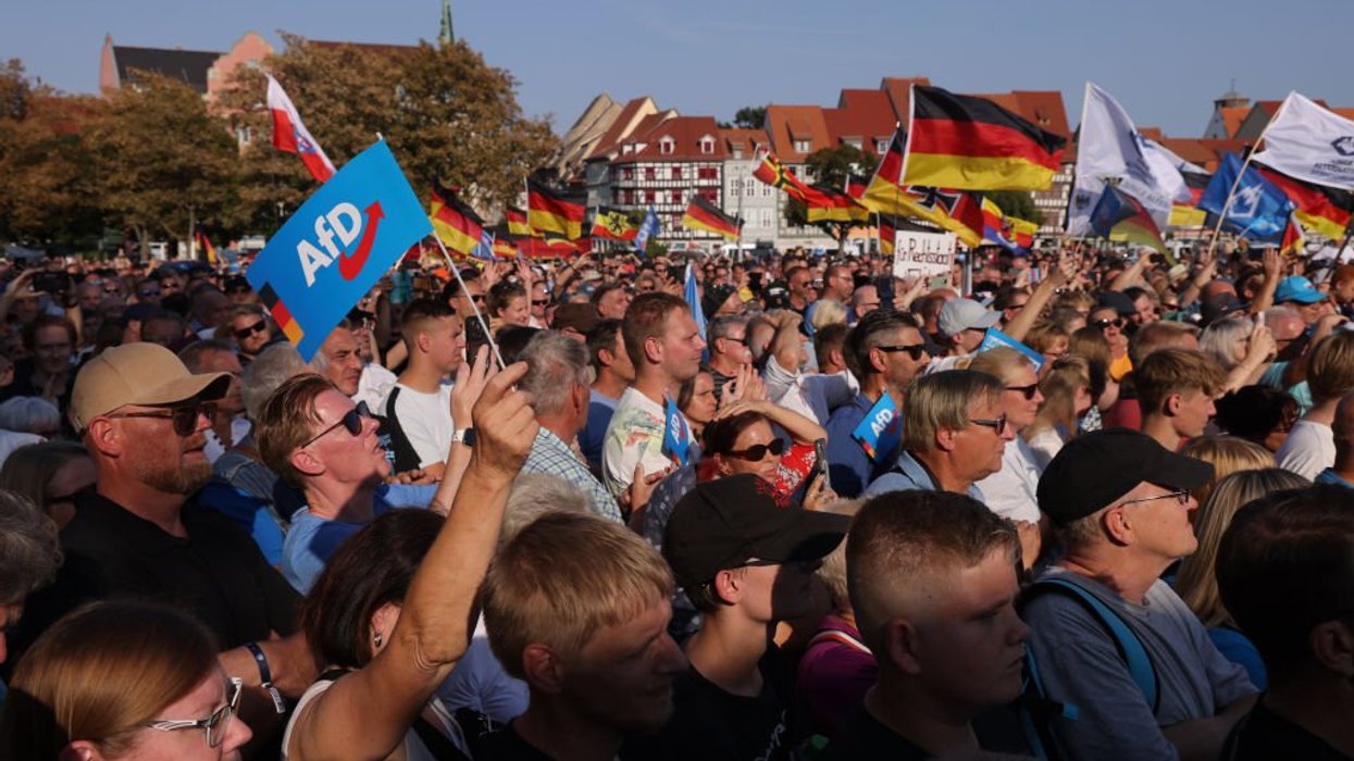 AfD rally