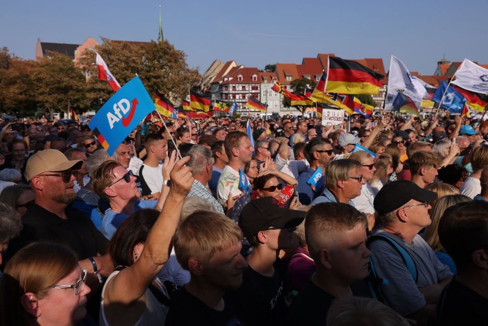 AfD rally