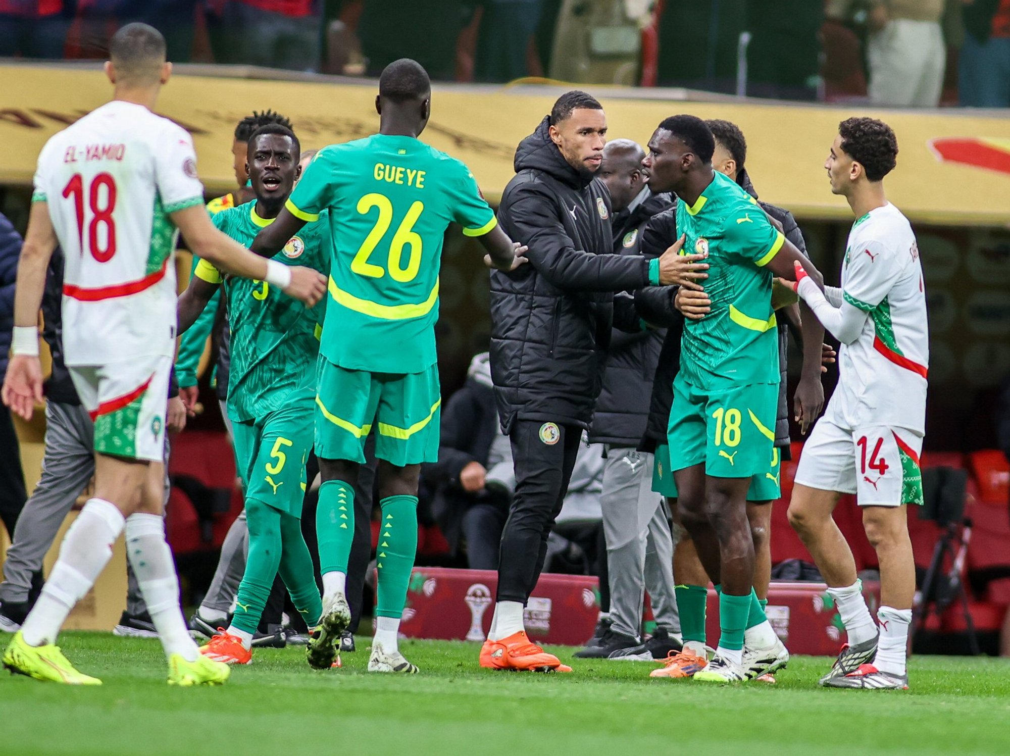 Africa Cup of Nations